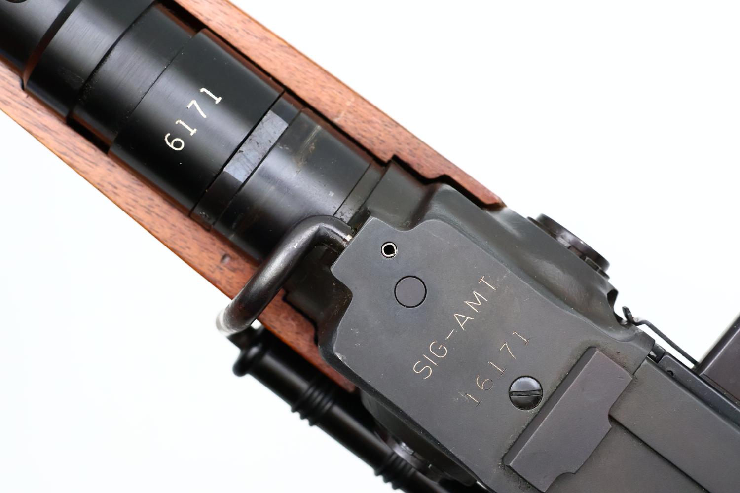 Rare Swiss SIG AMT Semi-Automatic Rifle, Thin Barrel, 16171, FB01932 - Image 10