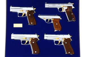 Phenomenal SIG SAUER, VONBANK COLLECTION, FB01997-02001