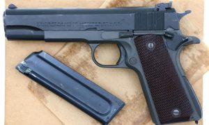 Colt Service Model ACE .22LR, 1911, Pistol, Factory Letter, FB02162