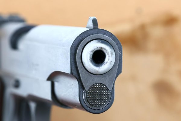 Colt Service Model ACE .22LR, 1911, Pistol, Factory Letter, FB02162 - Image 11