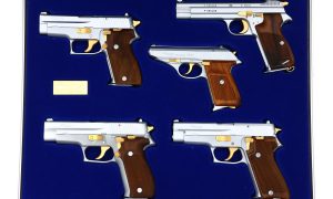 Phenomenal SIG SAUER, VONBANK COLLECTION, FB02348-02352