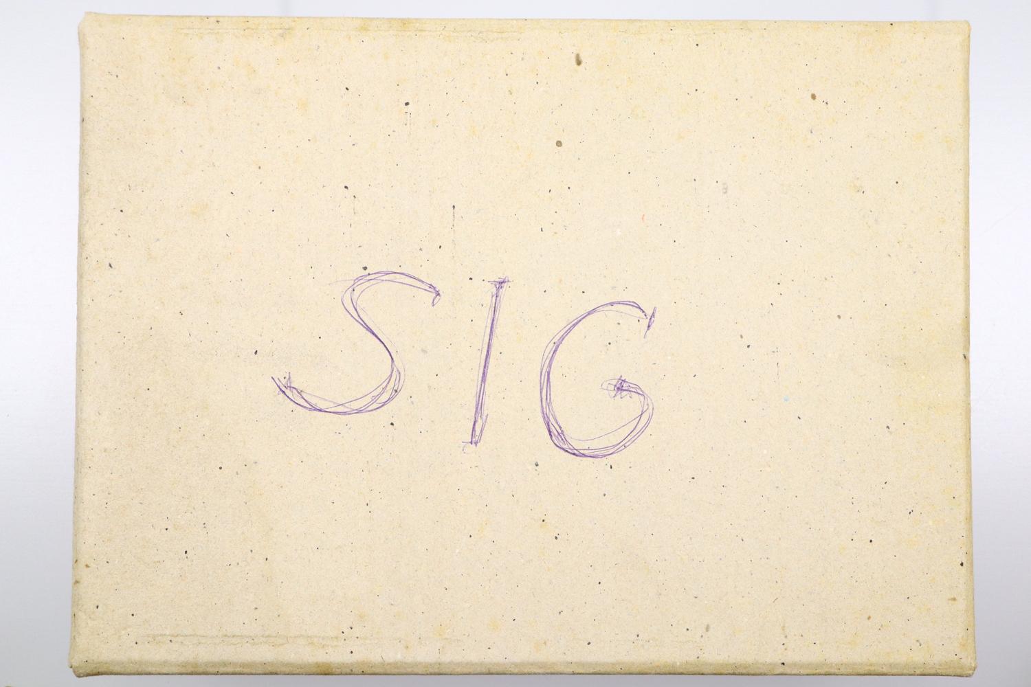 SIG, Luxury P210, 125 Year Commemorative, Cased, JP478, FB02344 - Image 9